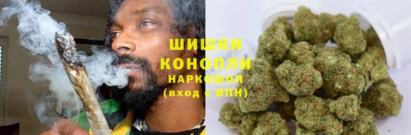Альфа ПВП Дмитров
