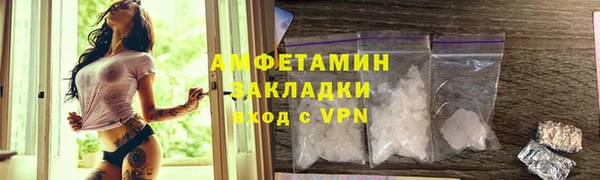 spice Дмитриев