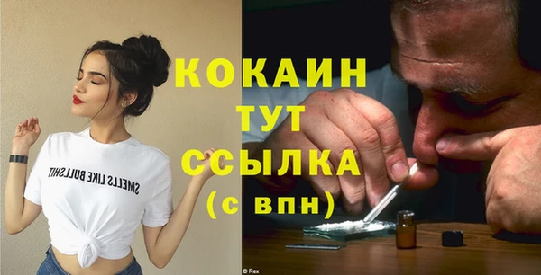 spice Дмитриев