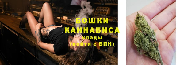 spice Дмитриев