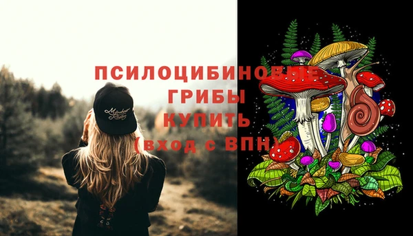 Альфа ПВП Дмитров