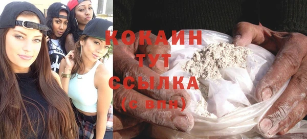 spice Дмитриев