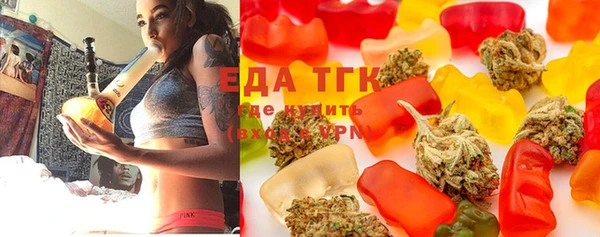 spice Дмитриев