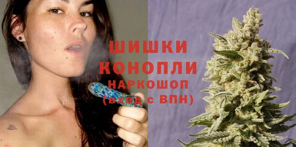spice Дмитриев
