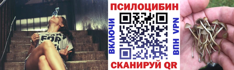 Псилоцибиновые грибы прущие грибы  Купить  Краснодар 